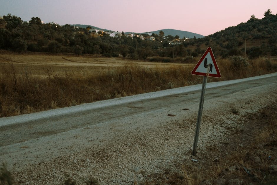 A rustic rural road with a double curve road sign and scenic landscape at dusk.